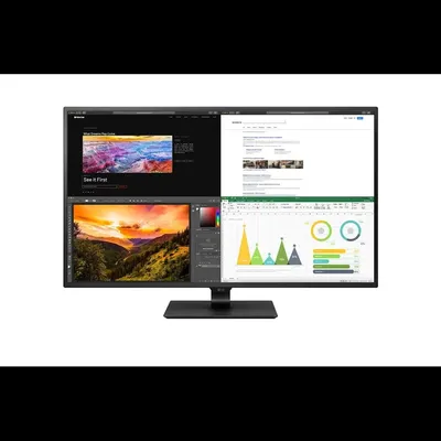 Monitor 42,5" 3840x2160 IPS HDMI DP USB USB-C LG 43UN700P : 43UN700P-B.AEU fotó